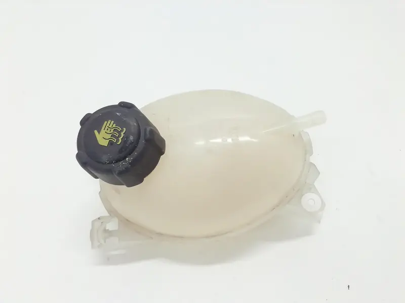 Vaschetta liquido radiatore RENAULT Clio Serie IV (12>19) 217107259R Benzina 1200 (12>19)